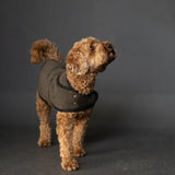 Merchant and Mills - The Barka Dog Coat - Sewing Pattern