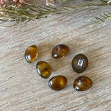 Atelier 27 - Sewing Button - Vintage Tortoiseshell Brown